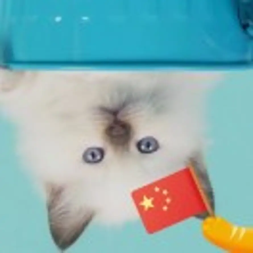 晓阳的头像
