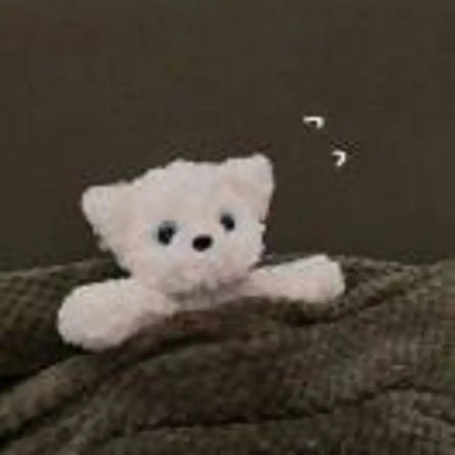 🧊的头像