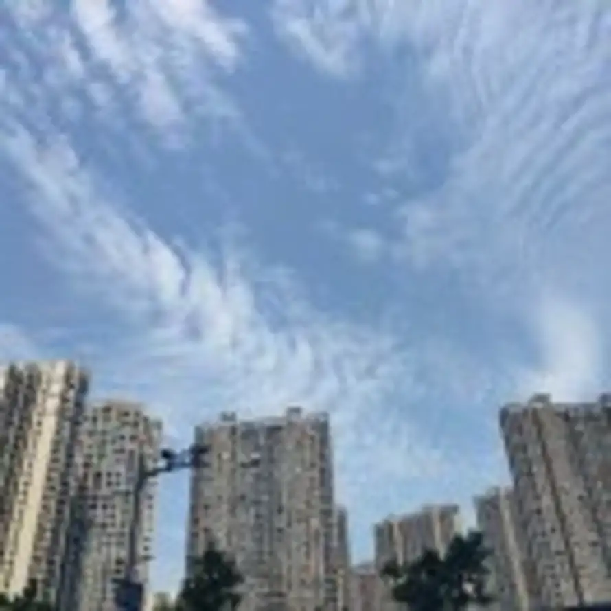 智睿启航18984584907的头像