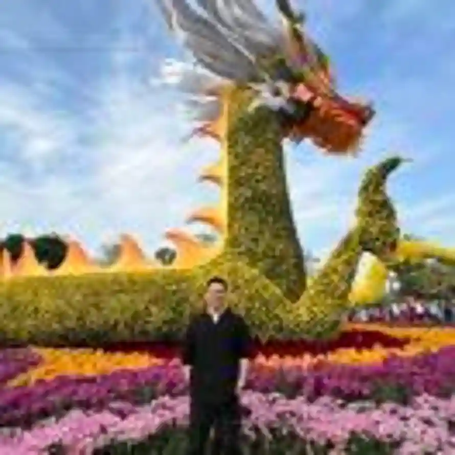 一念的头像