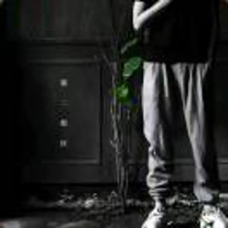 石头的头像