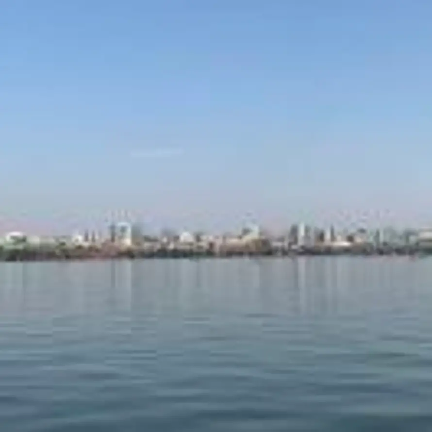 的头像