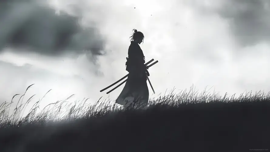 4k云雾壁纸 - 古风 - 荒草 - 剑客剪影「哲风壁纸」