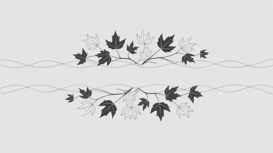 3k线条画壁纸-艺术画 - 树叶装饰-简约树叶「哲风壁纸」