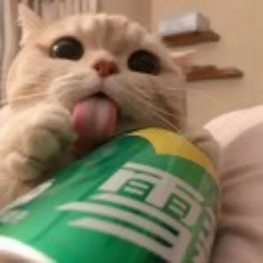 夜雨想要平静的生活的头像