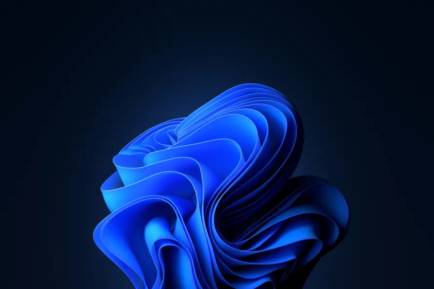 3k抹布壁纸-花 - 抽象花瓣-深色背景「哲风壁纸」