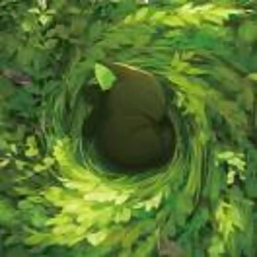 荧星FiFi的头像