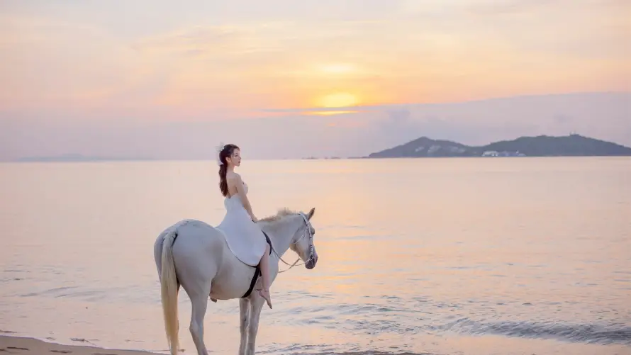 2k日落壁纸-海边 - 白马-美女「哲风壁纸」