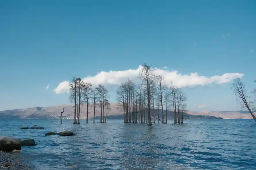 8k山脉壁纸-枯树 - 洱海-自然「哲风壁纸」