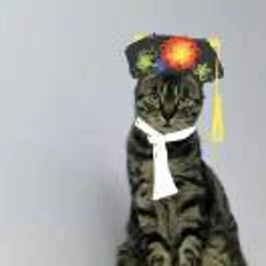 玩猫丧志的用户头像 - 哲风壁纸