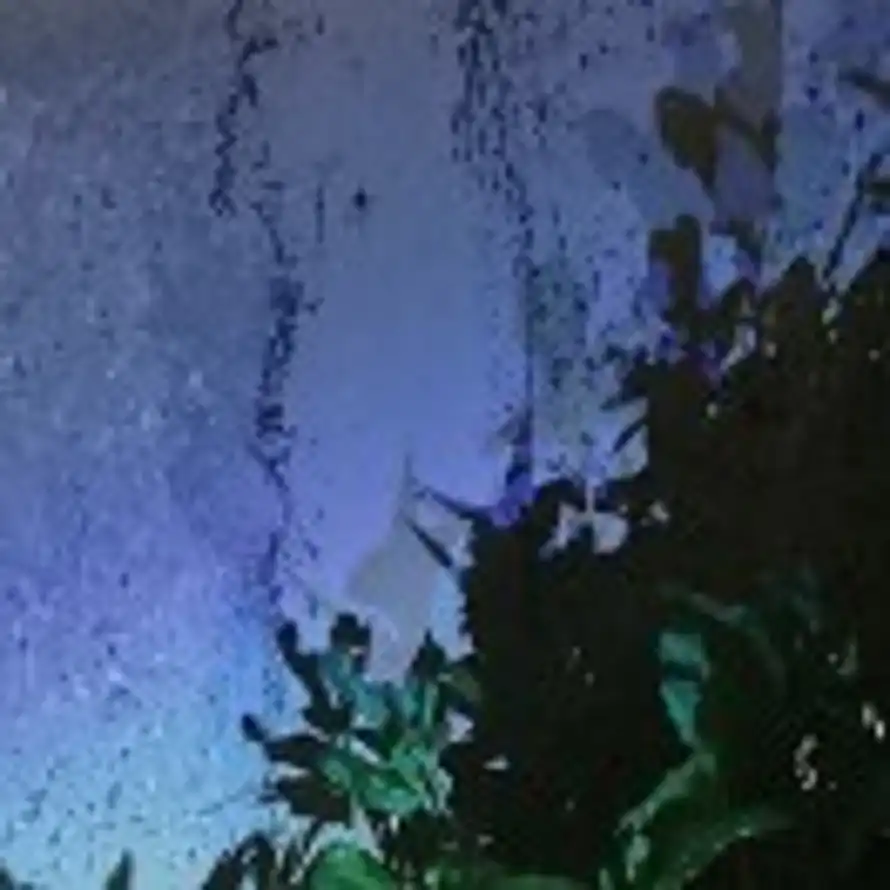 虾大宝的头像