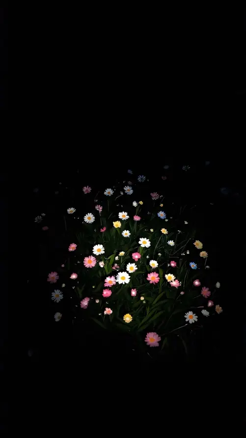 4k夜景壁纸 - 深夜花丛 - 白色雏菊 - 粉色雏菊「哲风壁纸」