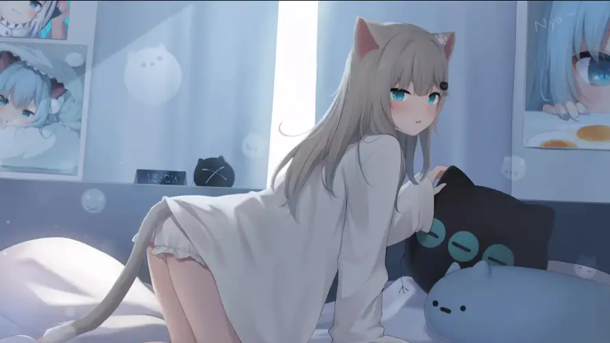 4k动漫壁纸-猫耳娘 - 兽耳少女-动态壁纸「哲风壁纸」