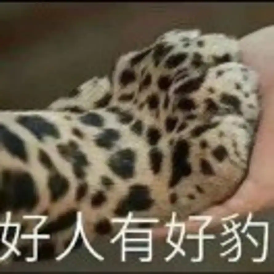 放生·姜黄酒香辛料的头像