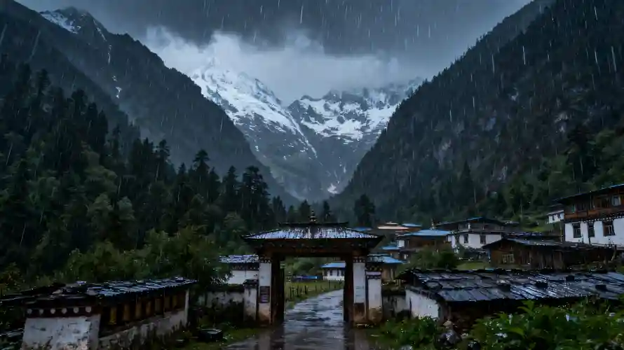 3k山谷壁纸-森林 - 雪山-雨崩村「哲风壁纸」