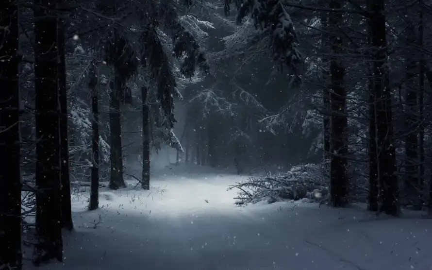 2k树木壁纸-雪地 - 雪夜-雪景「哲风壁纸」