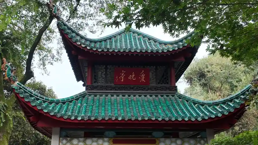 4k古树壁纸-岳麓山 - 爱晚亭-中式古亭「哲风壁纸」