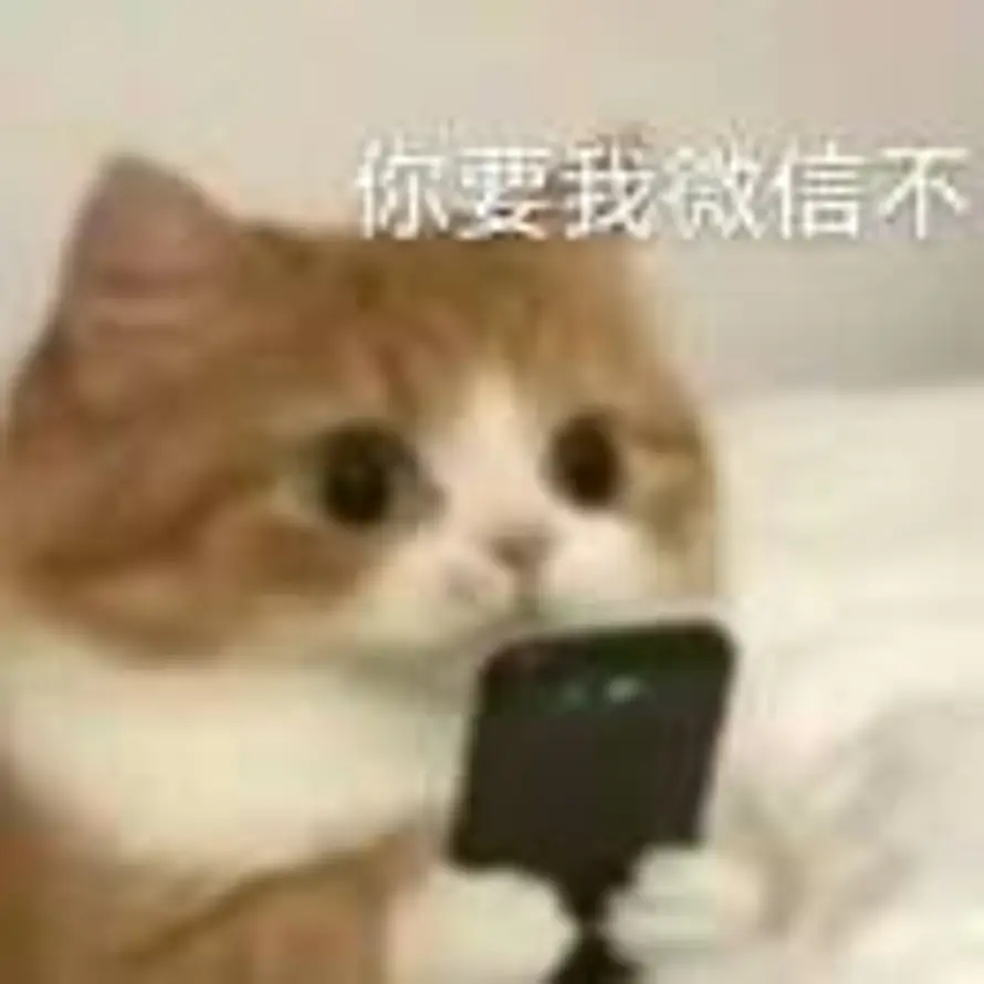 S的头像