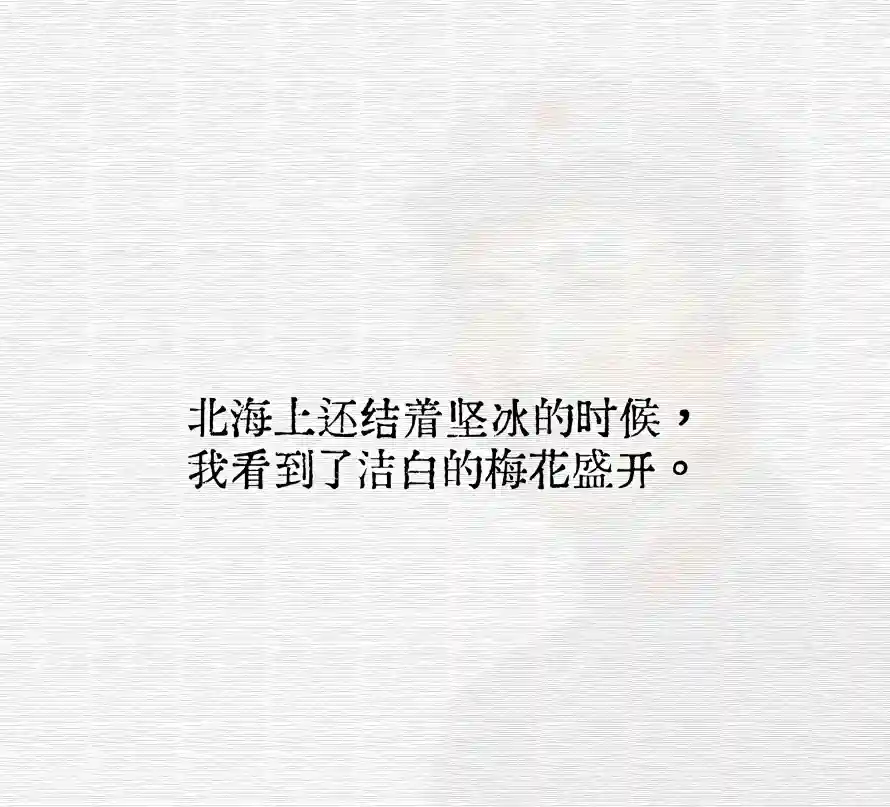 2k北海壁纸-坚冰 - 文字-梅花「哲风壁纸」