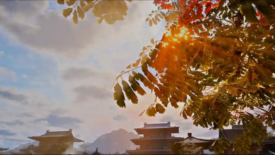 4k天空壁纸-树叶 - 阳光-风景「哲风壁纸」