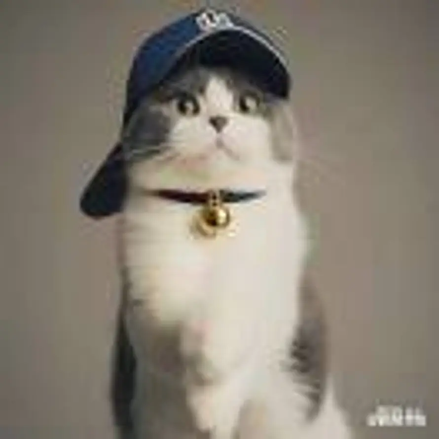 用户押切猫猫的头像
