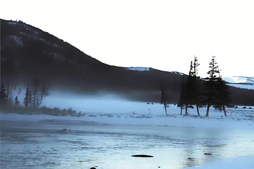 3k山川壁纸-树木 - 河流-雪地「哲风壁纸」