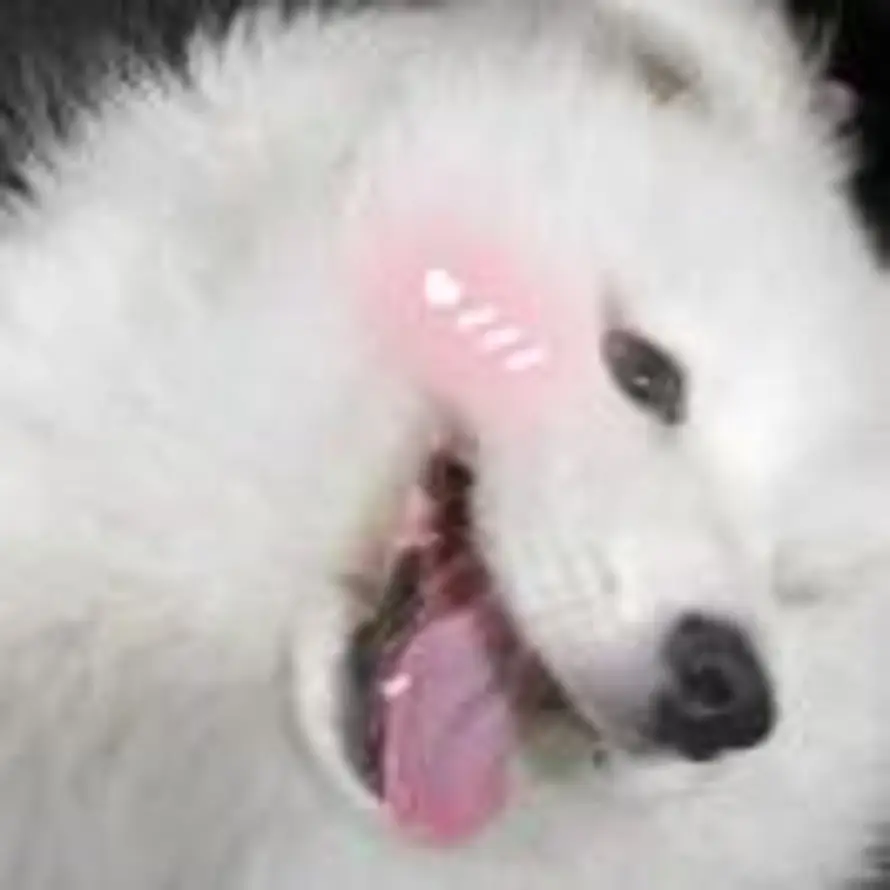 莓乙烯的头像