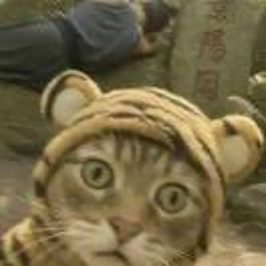 ㅤㅤ的头像