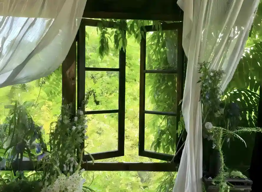 2k植物壁纸-清新 - 窗帘-窗户「哲风壁纸」