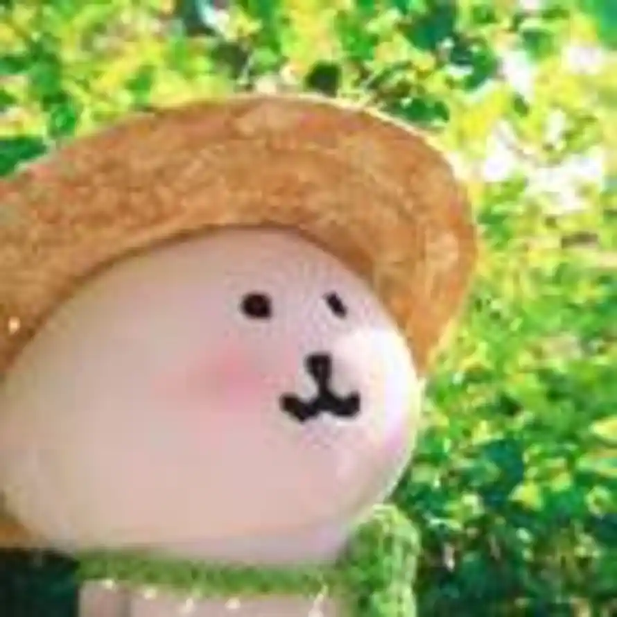 Breeze🍃的头像
