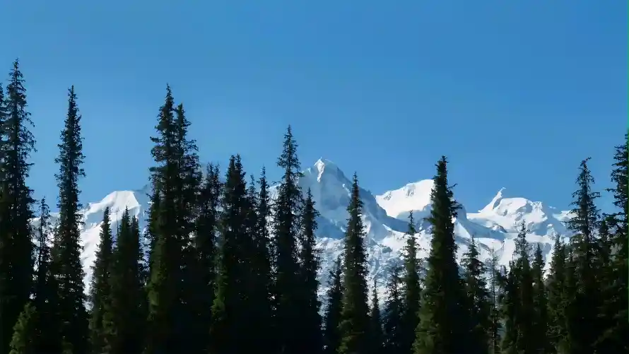 4k森林壁纸-蓝天 - 雪山-风景「哲风壁纸」