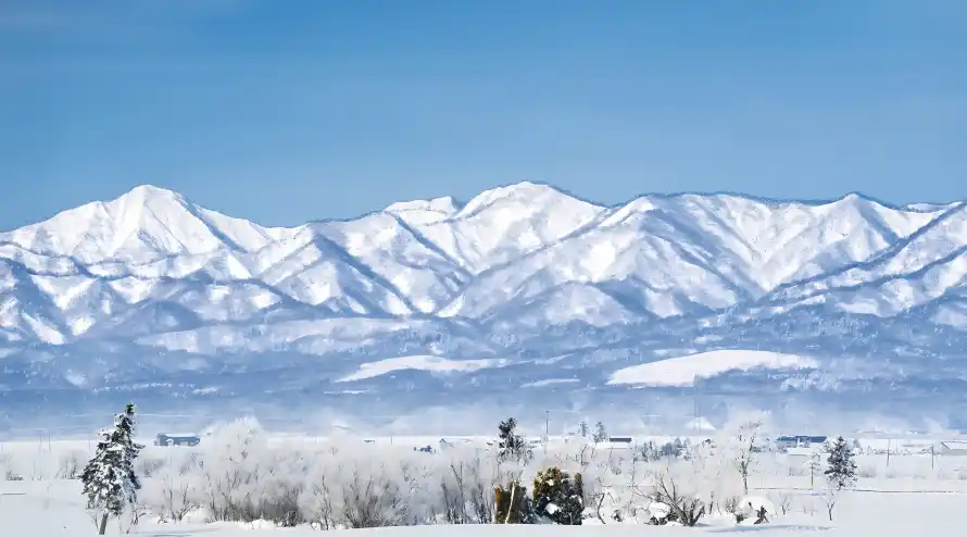 4k冬天壁纸-树木 - 蓝天-雪地「哲风壁纸」