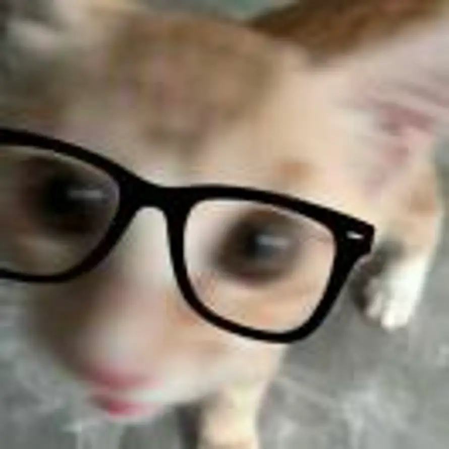 泥猫波的头像