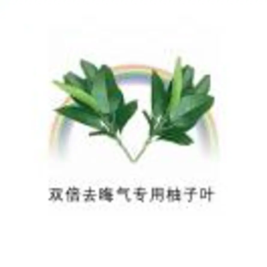 胡子^_^的头像