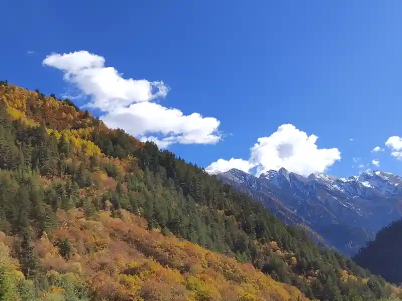 秋色与雪山 - 壁纸图片1