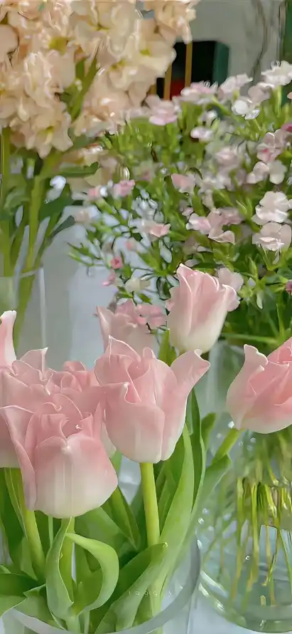 4k缤纷壁纸 - 花束 - 郁金香 - 粉色花朵「哲风壁纸」