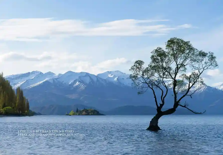 4k孤树壁纸 - 山峰 - 山脉 - 湖水「哲风壁纸」