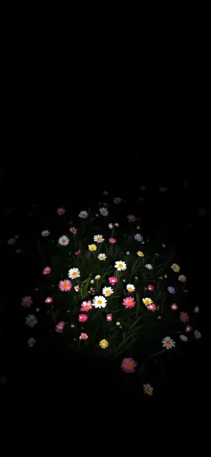 4k光栅壁纸 - 光点 - 夜景 - 花丛「哲风壁纸」