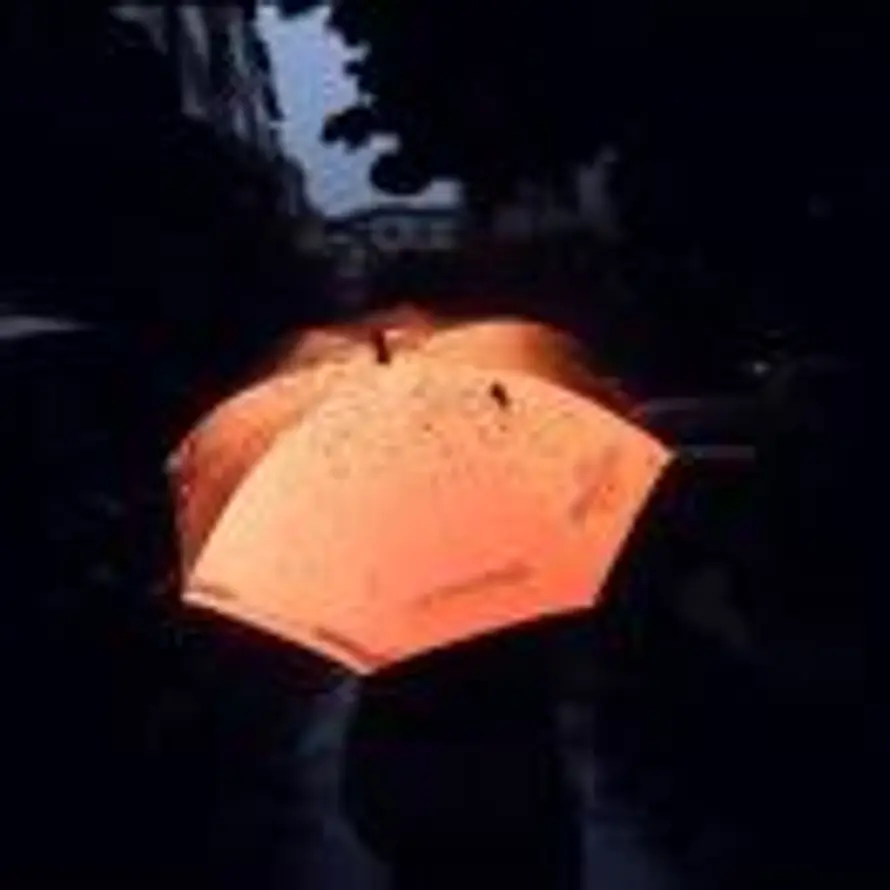 Luminous的头像
