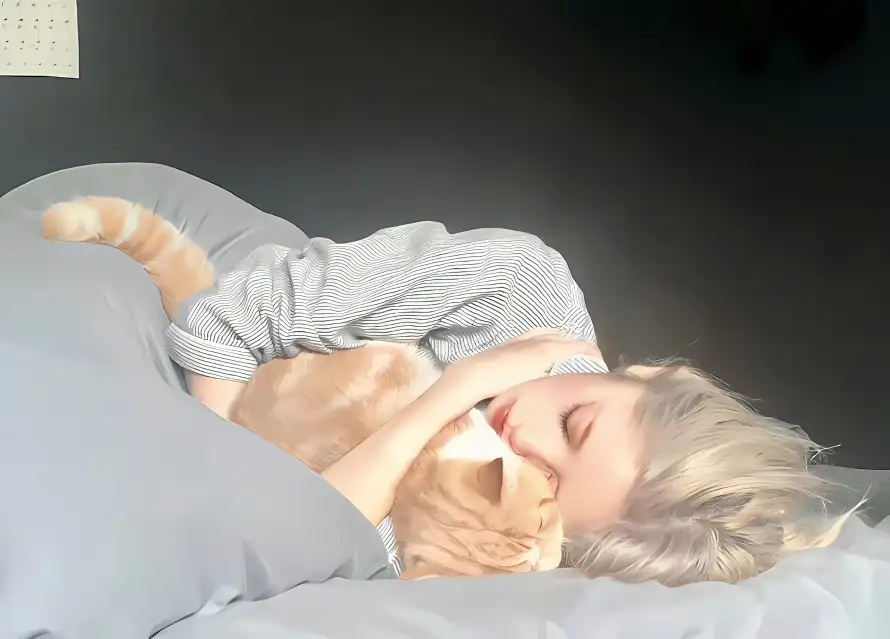 2k安逸壁纸-床铺 - 抱猫-橘猫「哲风壁纸」