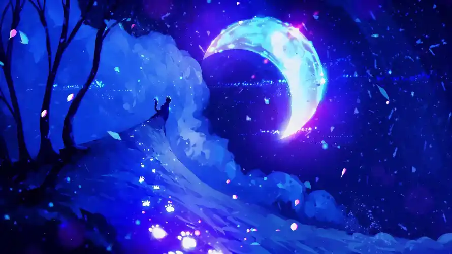 4k光点壁纸-夜晚 - 小猫-小路「哲风壁纸」