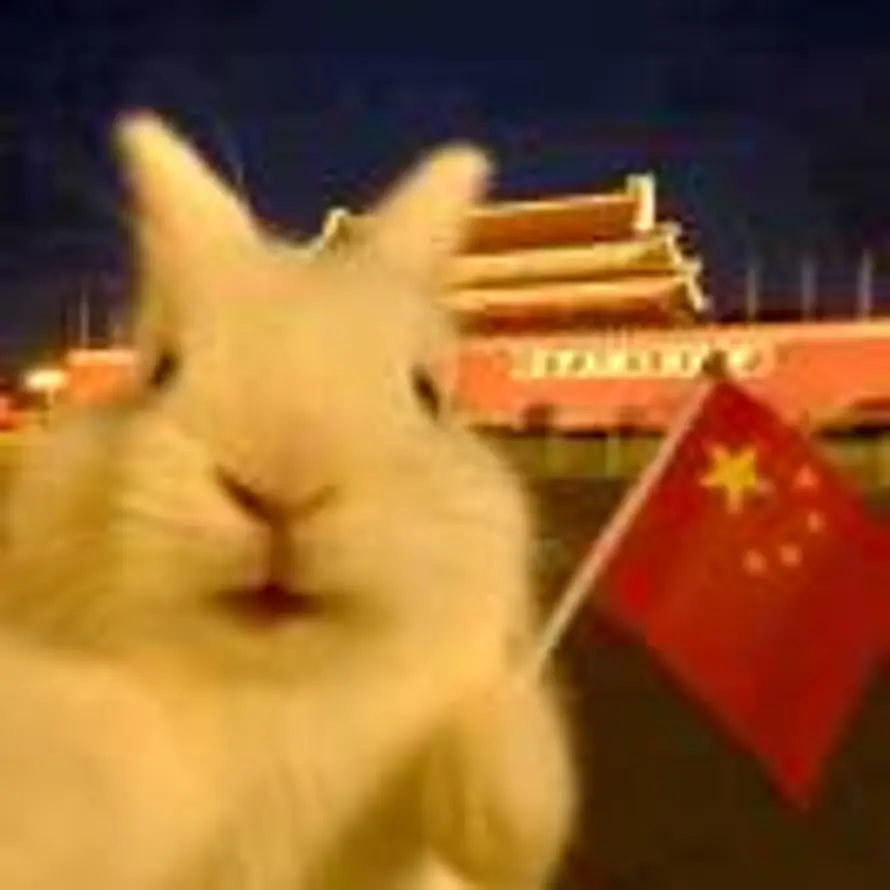 北冥有鱼的头像
