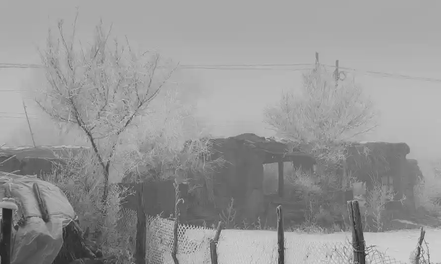 4k冬季壁纸-雪 - 树木-雪景「哲风壁纸」 4k冬季壁纸-雪 - 树木-雪景「哲风壁纸」