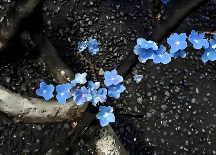 2k树枝壁纸-自然 - 花朵-蓝色「哲风壁纸」