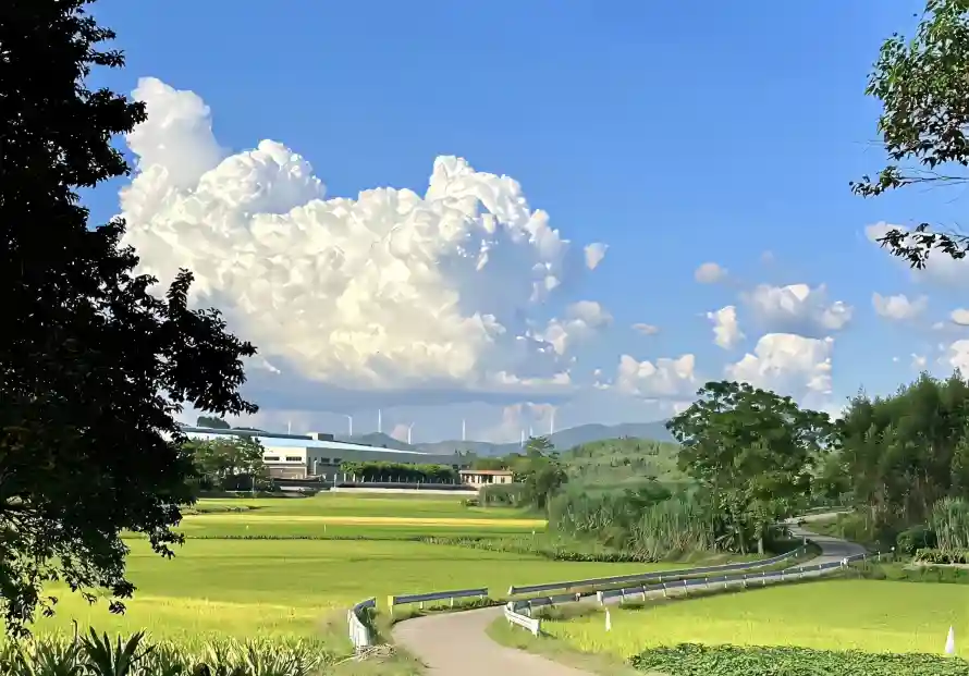 4k小路壁纸 - 树木 - 田野 - 白云「哲风壁纸」