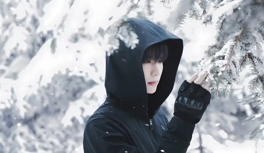 2k冬日壁纸-松柏 - 雪景-张起灵「哲风壁纸」
