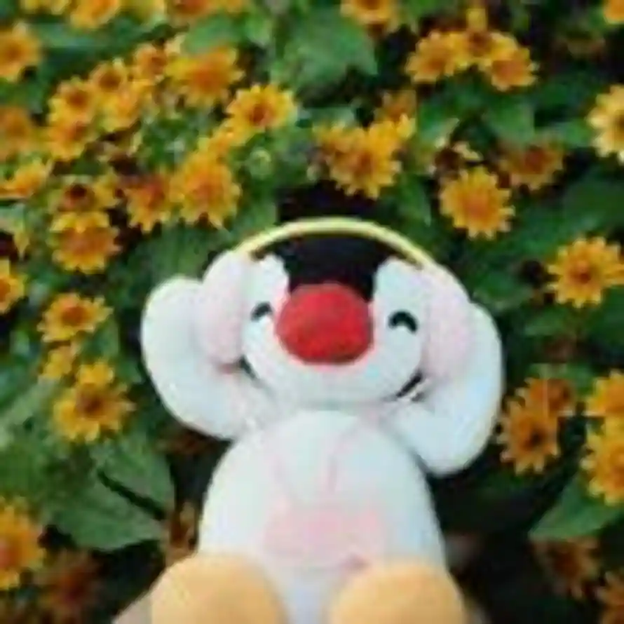 xiaohan的头像