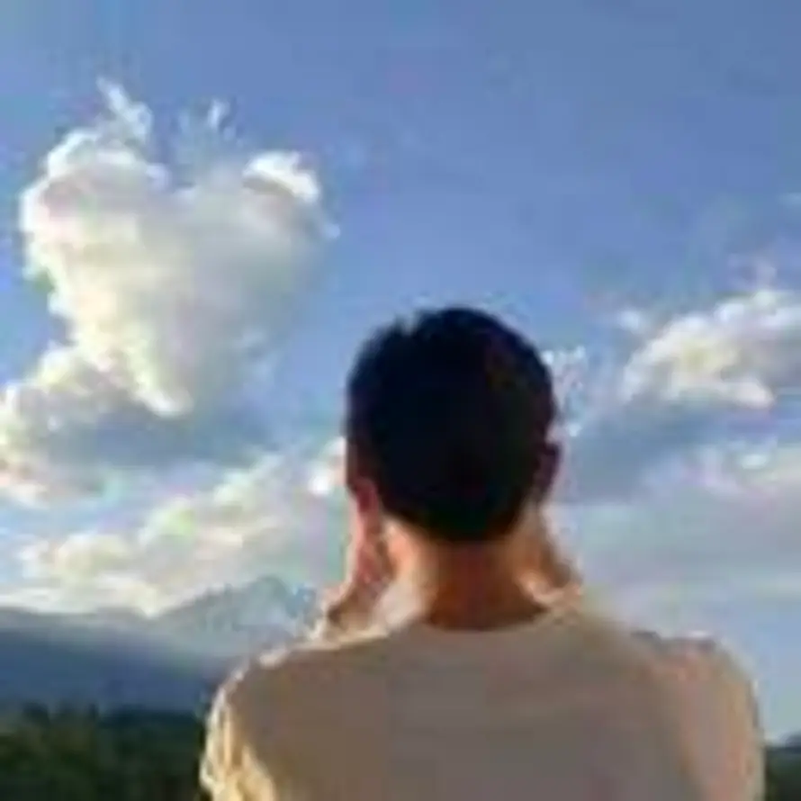夕鹏的头像