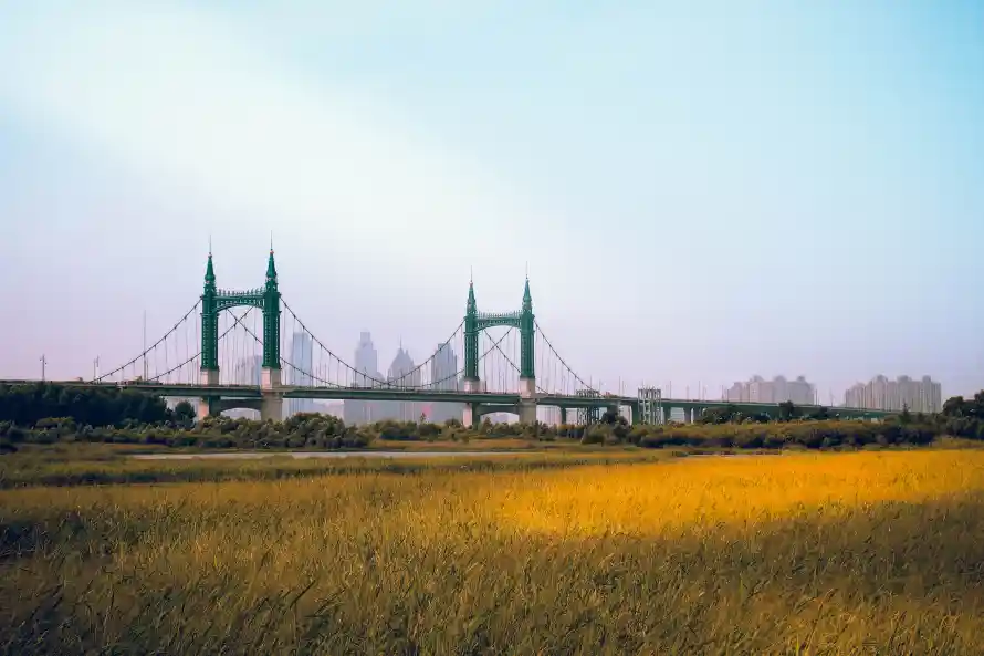 5k城市壁纸-桥 - 草地-蓝天「哲风壁纸」