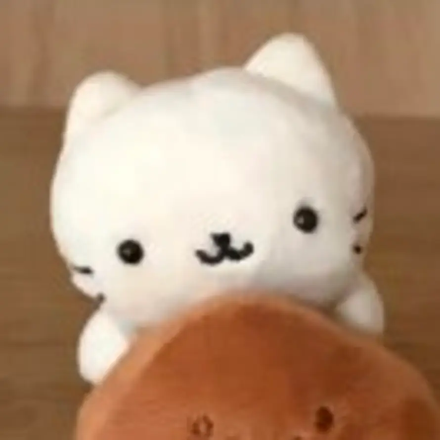 🐾的头像